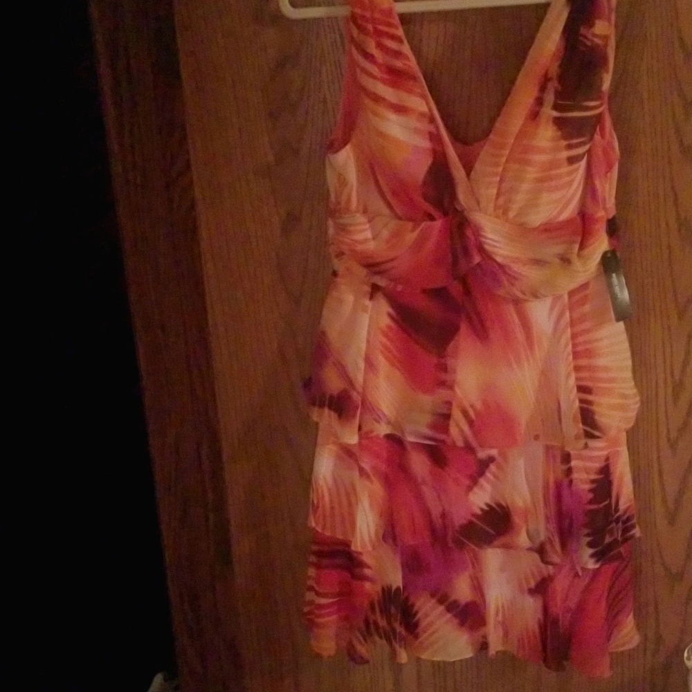 NWT Bison Bisou Women's Dress Size 14